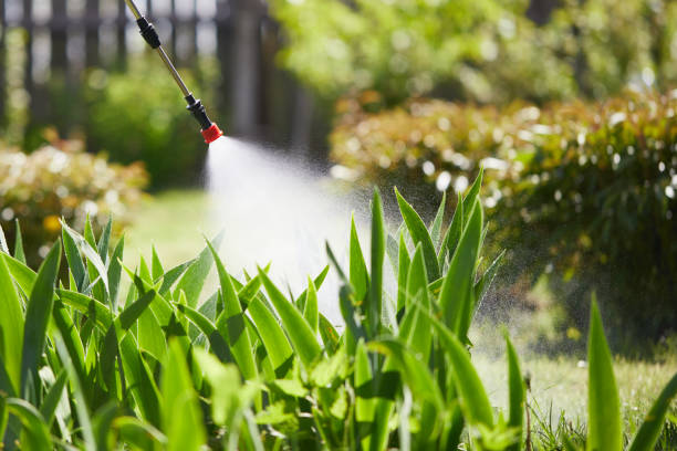 24/7 Emergency Wasp Removal experts in Ingalls Park, IL